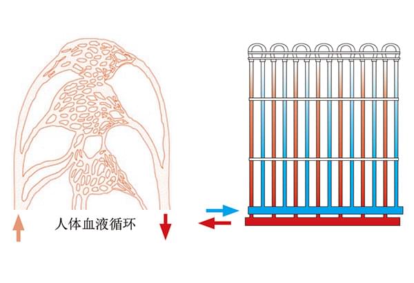 毛細管路